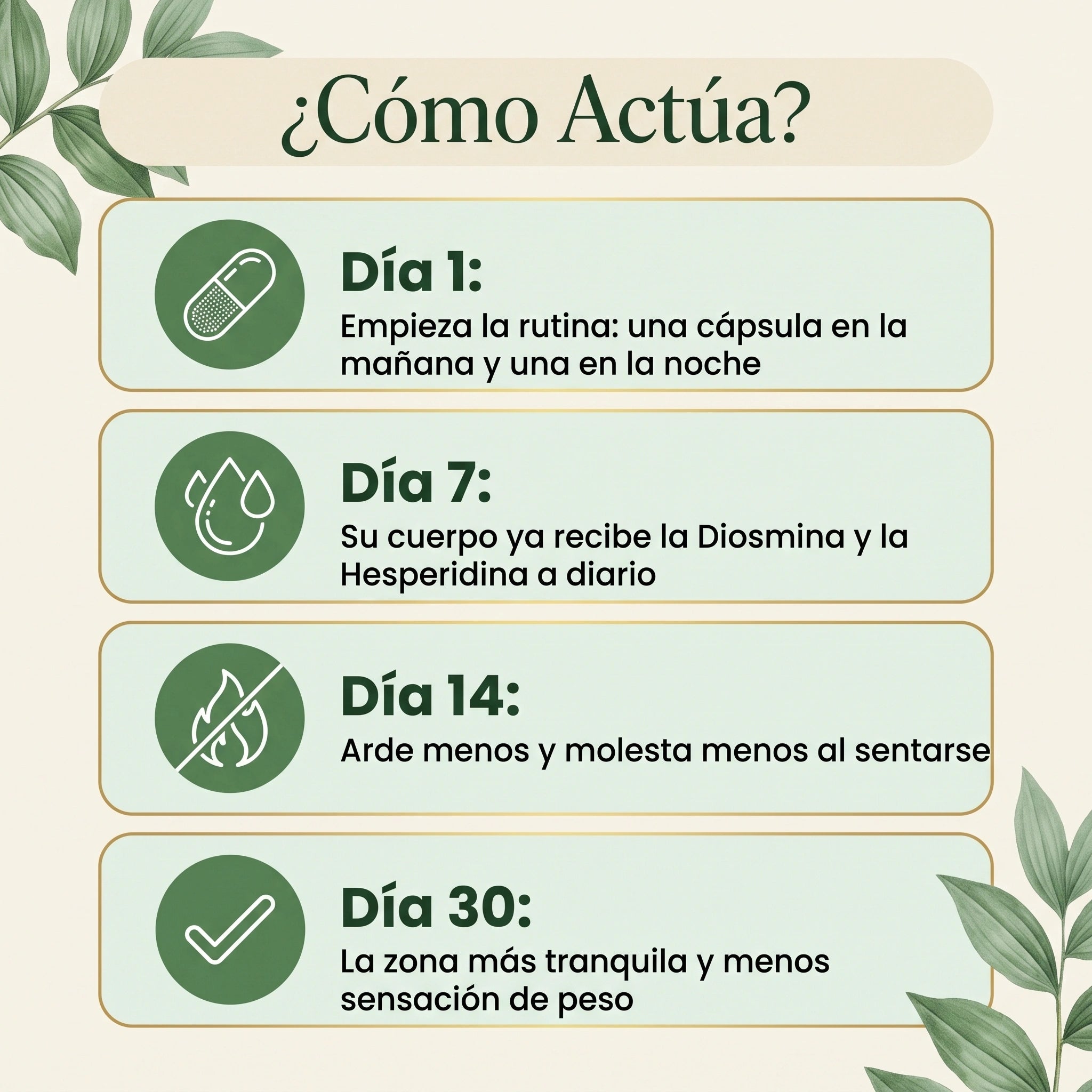 Hemo Calm Tratamiento para las Hemorroides